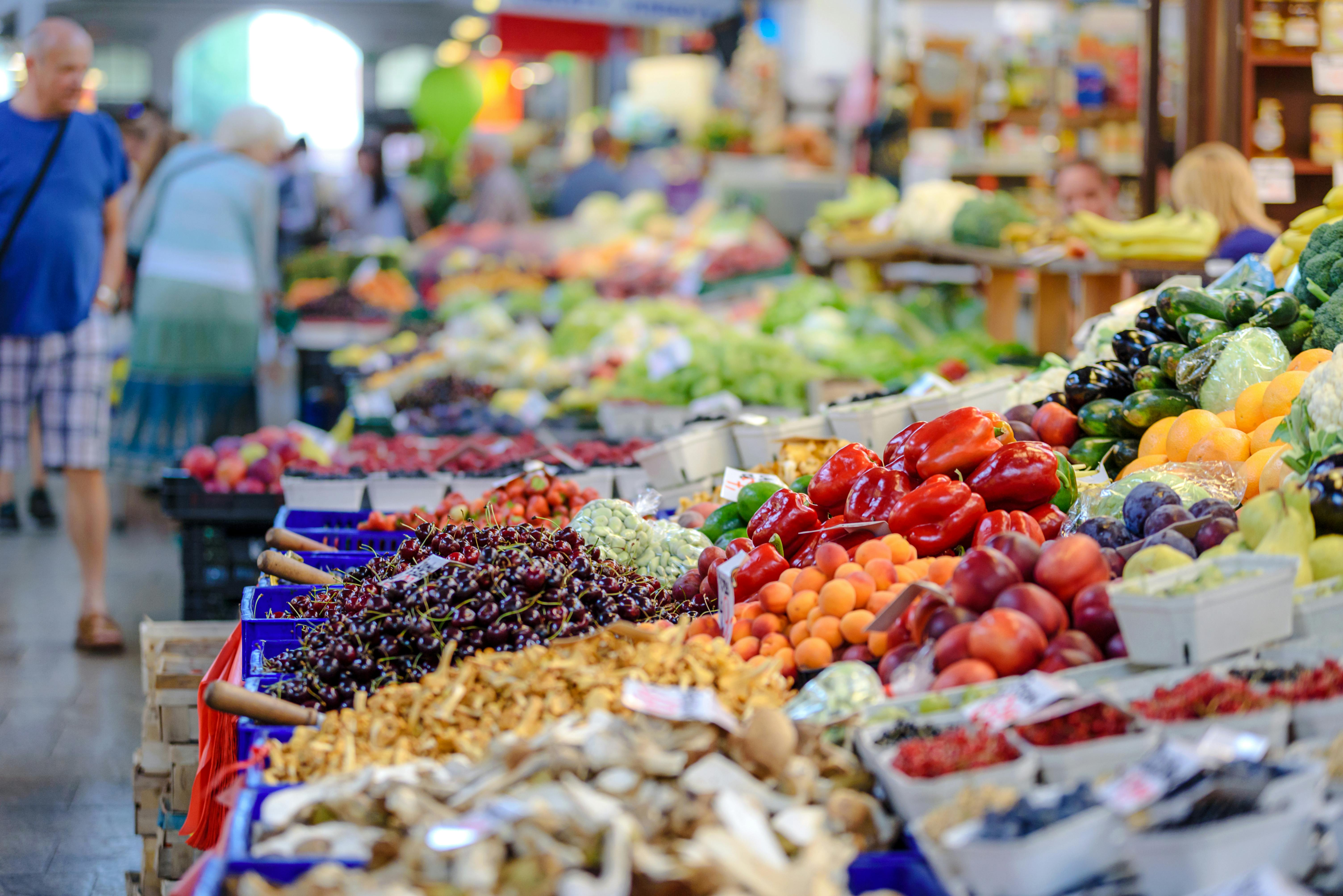 AGRO-FOOD正文配图.jpg